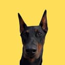 @cruxthedoberman
